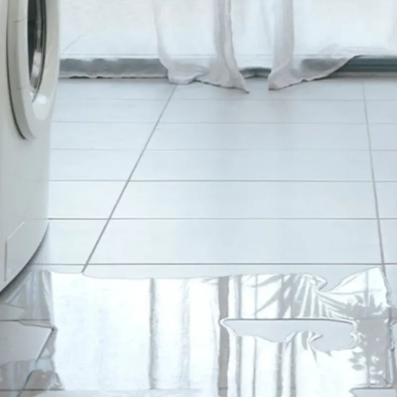 Appliance Leak Cleanup in Harleigh, PA