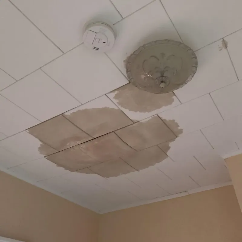 Ceiling Water Damage Repair in Harleigh, PA