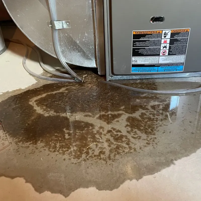 Pipe Burst and Leak Restoration in Harleigh, PA