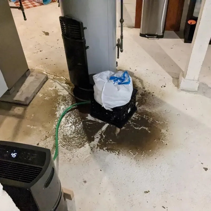 Sewage Backup Cleanup Service in Harleigh, PA